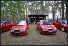 DSC_0539 DSC_0539