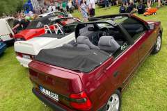 Felicia MTX Cabrio - 39. Celostátní sraz Škoda Běšiny 2021