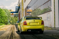 Octavia 1 RS tuning - Dragon Skin