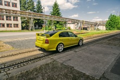 Octavia 1 RS tuning - Dragon Skin